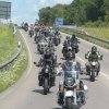 drive4animals-2024-presse 7